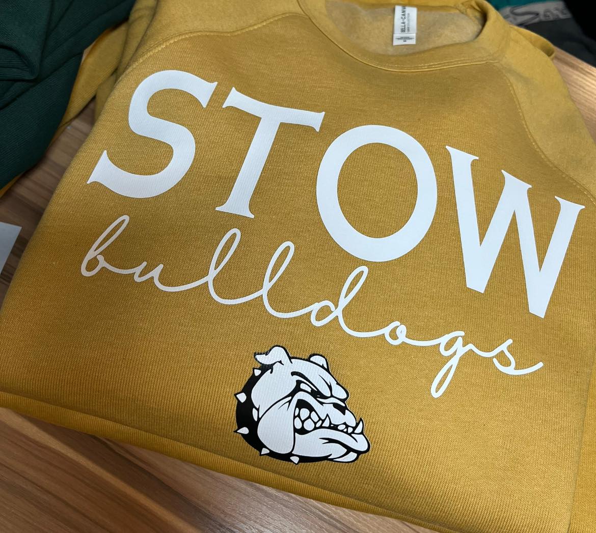 CUSTOM School Mascot